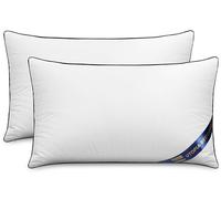 Utopia Bedding Relleno cojín Cojínes para Cama, Cojines Decorativos para sofá (2, Blanco, Unidad de 2 | 30x50 cm)