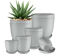 Utopia Home Paquete de 10 macetas 18/17/15/13/12 cm Maceta con platillo para la Cocina, balcón, Plantas de jardín, macetas de vivero de Interior Gris.