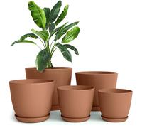 Utopia Home Paquete de 5 macetas 18/17/15/13/12 cm Maceta con platillo para la Cocina, balcón, Plantas de jardín, macetas de vivero de Interior Terracota.