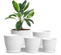 Utopia Home Paquete de 5 macetas 18/17/15/13/12 cm Maceta con platillo para la Cocina, balcón, Plantas de jardín, macetas de vivero de Interior Gris Moteado