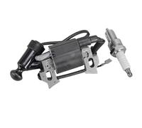 UTVTNPUKM Módulo de bobina de encendido for cortacésped, kit de bujías compatible con cortacéspedes for Einhell GH-PM 46/1 S, GH-PM 40P y GC-PM 46/1 S. Reemplazar la bobina de encendido