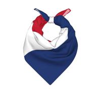 UVBDF Pañuelo cuadrado con estampado de bandera holandesa, pañuelo para la cabeza, 55,88 x 55,88 cm, poliéster, pañuelo para el cuello, regalo clásico