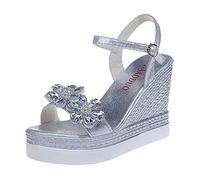 Uwdiohq Sandalias Mujer Comodidad Diaria Shoes Fashion Sandals High Women Heels Ladies Women'S Chanclas Boda (Silver, 38) Ortopedicas Verano Sandalia Zapatillas Persona Mayor Con Plataforma