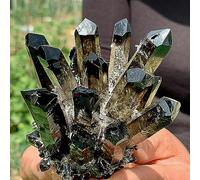 UYCUODLUY Black Smoky Quartz Crystal Cluster Home Office Aquarium Decoration Gift Ornaments (Size : 300-350g)