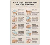 UYCUODLUY Cat Posture Meanings Body Language Chart Poster For Cat Owners Decor(Unframed,12x18inch(30x45cm))