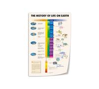 UYCUODLUY Geological Era's Canvas Art Print - Minimalist Timeline of Life's Evolution, Modern Science Poster for Home Office, Lab, or Dorm Room(Unframed,12x18inch(30x45cm))