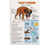 UYCUODLUY Heat Stroke in Dogs Poster Warning Signs First Aid Tips Wall-Art(Framed,12x18inch(30x45cm))