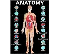 UYCUODLUY Human Anatomy Poster, Detailed Educational Chart of Body Systems, Science Classroom Decor for Biology Lab, School & Homeschool(Unframed,12x18inch(30x45cm))