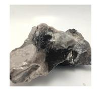 UYCUODLUY Piedra de Concha cruda 100 g, 2-4 cm, for decoración del hogar