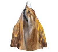 UYHhgqw Disfraz de bruja de Halloween de The Little Dog Gazing At The Sky - Capa con capucha para hombre y mujer - Disfraz de terror de Halloween - Disfraz de cosplay