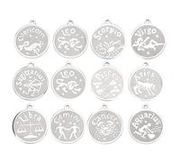 UYSTDMXKA Juego de 12 colgantes de signos del zodíaco de acero inoxidable para collares, pulseras y joyería artesanal, incluye los 12 amuletos de astrología con acabado metálico brillante pa