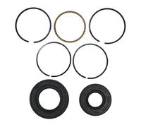 UYTGFO Compatible con H0nda GX35 GX 35 de 39 mm, juego de anillos de pistón y sello de aceite del cigüeñal, repuesto for motor de cortacésped de 4 tiempos.