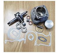 UYTGFO Kit de pistón de cilindro compatible con motosierra Husqvarna 281 y 181, incluye cigüeñal, cojinetes, sellos de aceite y juntas.(Nikasil cylinder)