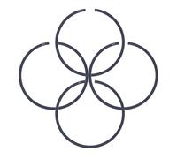 UYTGFO Kit de reparación de cilindros compatible con HUSQVARNA 272, 272xp, STIHL 046, MS460, MS461, 064, MS640 y MS650, 4 unidades, 52 mm x 1,2 mm de grosor.