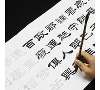 UYUME Caligrafía, práctica de escritura, cuadernos de caligrafía china, cuaderno de práctica de caligrafía con pincel chino, papel de arroz, adultos principiantes, escritura de Liu Bingsen