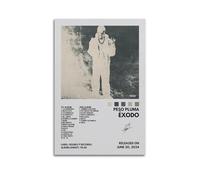 UYYRWEQRTR Peso Pluma Álbum Éxodo Pósteres estéticos para pared, pintura decorativa, póster decorativo, lienzo vintage para sala de estar, dormitorio, 30 x 45 cm, estilo sin marco