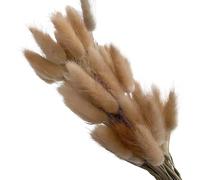 UZAMIRLEX Hierba Artificial de Pampa, Flores secas de Cola de Conejo for decoración de jarrones, Multicolor, Paquete de 60/100/120 Unidades(Primary,100pcs)