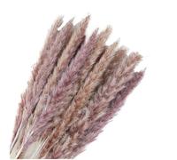 UZAMIRLEX Hierba Artificial de Pampa, Ramo de Flores secas de Hierba de la Pampa y Colas de Conejo, 45 cm, Multicolor(Pampas Grass Natural,10 pcs)