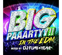 V.A. - Big Paaartyy!! in the Edm Mixe