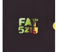 V/A Electronic - Freude Am Tanzen 5zig Compilation