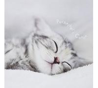 V.A. - Pachelbel's Canon All Stars