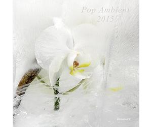 V/A - POP AMBIENT 2015 [Vinilo]