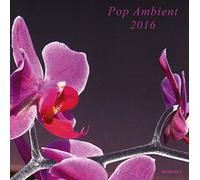 V/A - Pop Ambient 2016