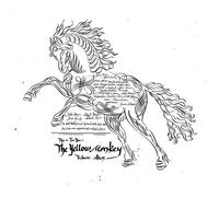 V.A. - This Is for You-the Yellow Mon