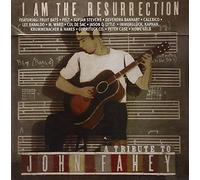 V - I Am The Resurrection: A Tribute To John Fahey