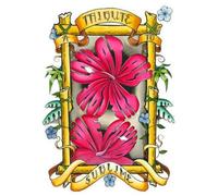 V - Look at All the Love We Found