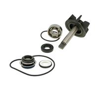 V PARTS - 8000/54 : Kit reparacion eje repara bomba agua