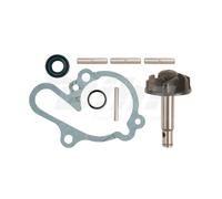 V PARTS (VICMA) KIT DE REPARACIÓN DE LA BOMBA DE AGUA AM6 (PARA APRILIA 50, MBK