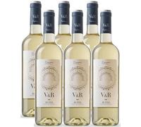 V & R - 6 Botellas - Verdejo - DO Rueda - Medalla de Oro - La Soterraña