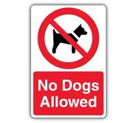 V Safety - Señal de seguridad fotoluminiscente con texto en inglés "No Dogs Allowed", 300 x 450 mm, vinilo autoadhesivo, brillo estándar