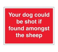 V Safety Your Dog Could Be Shot If Found Amongst The Sheep - Señal de seguridad de vinilo autoadhesivo (400 x 300 mm)