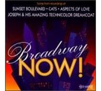 Va-Broadway Now! - Broadway Now: Hits 1