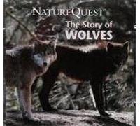 Va-new Age - Story of the Wolves