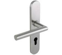 Vachette - Juego de manija de puerta de acero inoxidable 493 sobre placa grande, soporte acodado, puerta de entrada, oficina y garaje, entre ejes de 195 mm, sistema de colocación fácil, 2 años de