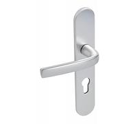 Vachette Logio - Juego de manija de puerta en placa grande, versión llave I puerta de entrada, bodega, oficina y garaje, entre ejes de 195 mm, sistema de colocación fácil, 10 años de garantía