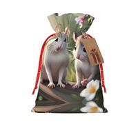 vacsAX Bolsa de regalo de Navidad con cierre de cordón, ligera, bonito diseño, perfecta para cumpleaños y fiestas, ratón enamorado