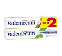 Vademecum Laboratoires Blancheur & Plantes - salvia y esencia de menta (LOTE DE 2)
