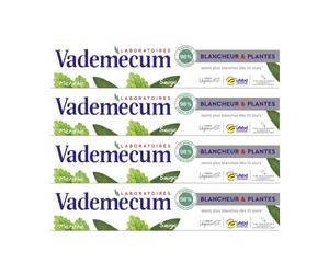 Vademecum - Pasta de dientes - Blanco y Plantas - Menta y Salvia - Dientes más blancos a partir de 10 días - 98% de ingredientes de origen natural - Fórmula vegana - Tubo de 75 ml - Paquete de 4