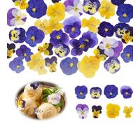 VAEIORP 30 Piezas 6 Tipos de Flores Naturales Secas y Prensadas, Comestibles para Decorar Pasteles, Cócteles y Manualidades DIY (Mezcla de Viola Tricolor)