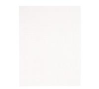 Vaessen Creative Cañamazo Plástico, 7 ct, Hojas de Malla Flexible para Manualidades, Bordado y Punto de Cruz, 2 Unidades, 26x34cm, Transparente