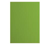 Vaessen Creative Cartulina A4-25 Hojas Lisas de 216 g - Frog (Verde) - Papel de Colores para Scrapbooking, Tarjetas & Manualidades