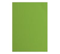 Vaessen Creative Cartulina A4-25 Hojas Texturizadas de 216 g - Frog (Verde) - Papel de Colores para Scrapbooking, Tarjetas & Manualidades