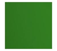 Florence Cardstock-Papel para manualidades (216 gramos/m², cuadrado, 30,5 x 30,5 cm, 20 unidades), color verde, 30.5x30.5cm