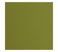 Florence Cardstock Cuadrado de 216 Gramos/m², 30,5 x 30,5 cm, 20 Unidades, Textura, para álbumes de Recortes, Tarjetas, Troquelado y Otras Manualidades de Papel, Verde, 30.5x30.5cm