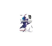 Vagabond 10