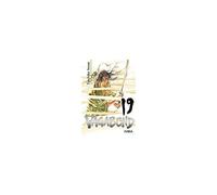 Vagabond 19